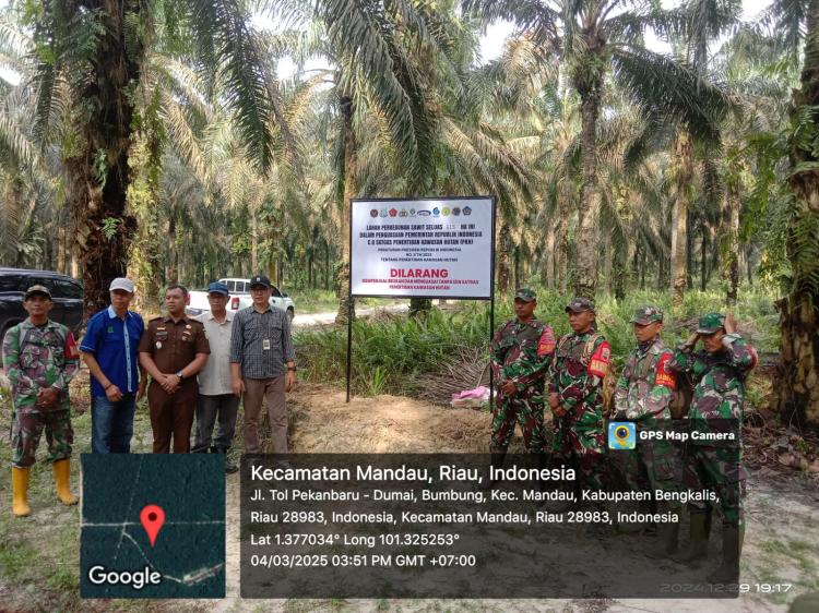 Satgas PKH Eksekusi Lahan Sawit Martias Dalam Kawasan Hutan, Koptan XIII Berharap Keadilan Presiden 