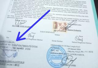 314 Hektare Hutan Dalam Kawasan di Kampar Diduga Diperjual Belikan Secara Ilegal