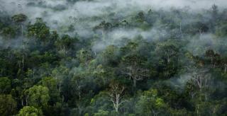 Kejaksaan Agung Berhasil Sita 1 Juta Hektar Lahan Dalam Kawasan Hutan 