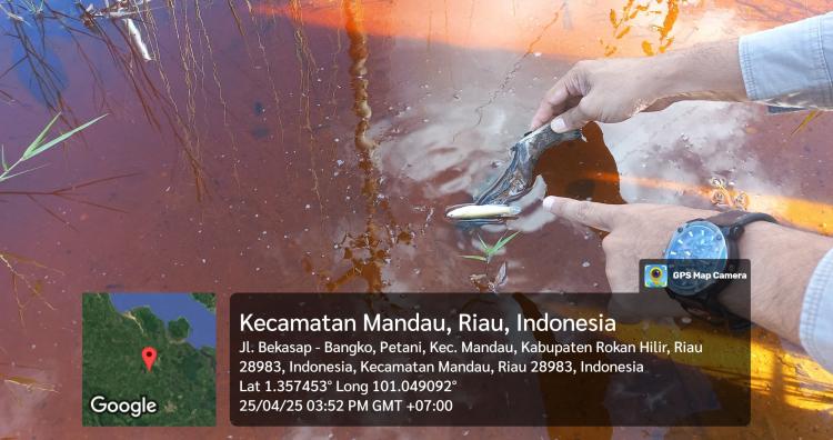 Soal Pencemaran Limbah, DPRD Provinsi Akan Panggil Pertamina Hulu Rokan 