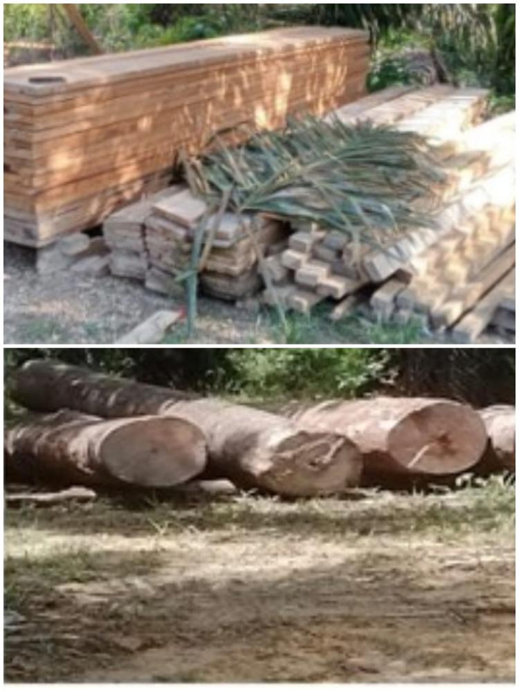 Ada Pembukaan Lahan dan Illog Dihutan Dalam Kawasan di Kampar, Pelaku Tak Tersentuh Hukum