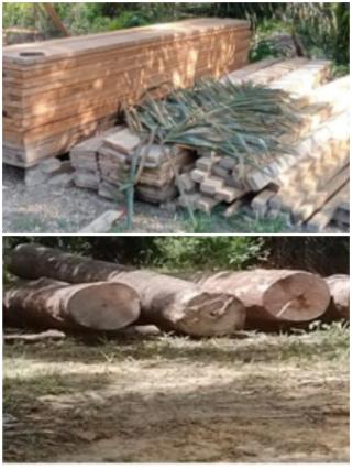 Ada Pembukaan Lahan dan Illog Dihutan Dalam Kawasan di Kampar, Pelaku Tak Tersentuh Hukum