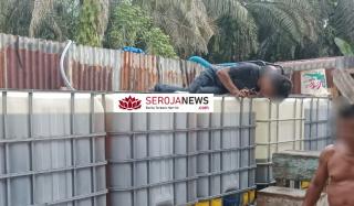 Skandal Solar Ilegal, Perusahaan Truk Tangki Diduga Terlibat, Polsek Tapung Hulu Bungkam