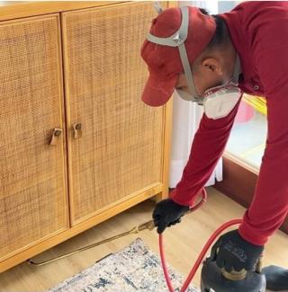 Ancaman Rayap di Balik Dinding Rumah, Upaya Pencegahan Kian Diperlukan